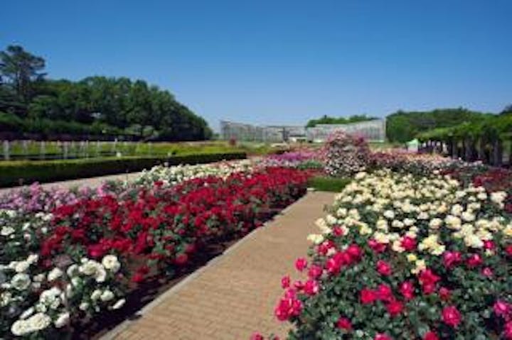 都立神代植物公園 アソビュー