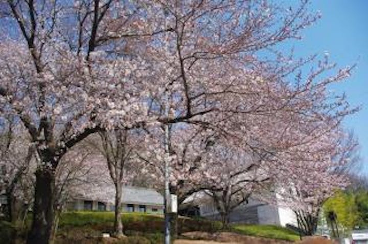 町田市立自由民権資料館