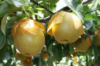 スポットの写真