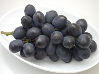 スポットの写真