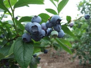 スポットの写真