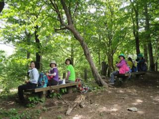 湯久保尾根ハイキングコース