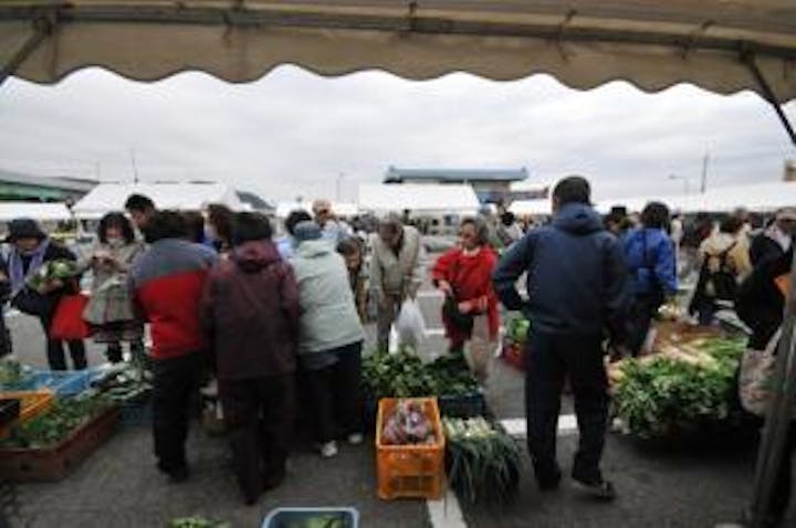 【中止】大磯ふれあい農産物まつり