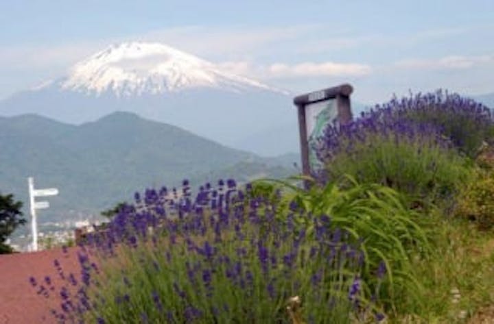 春のハーブフェスティバル