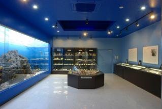 町立遠藤貝類博物館