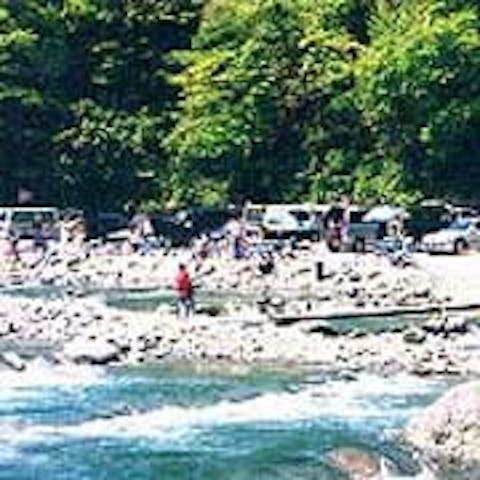 早戸川国際マス釣場