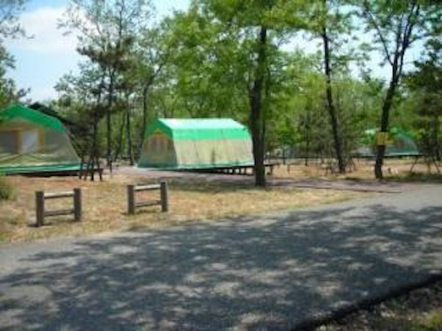 海辺の森キャンプ場