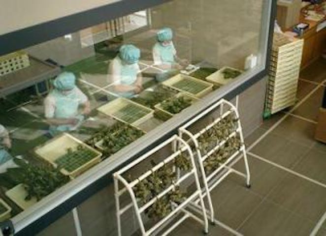 田中屋本店みなと工房 【産業観光】