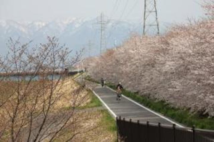 能代川りんりんロード