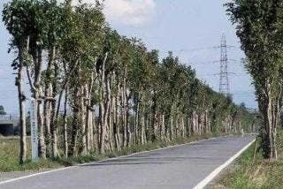 スポットの写真