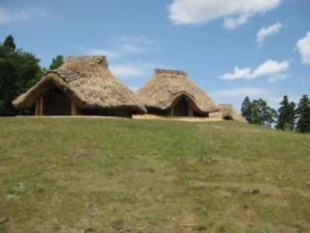 古津八幡山遺跡