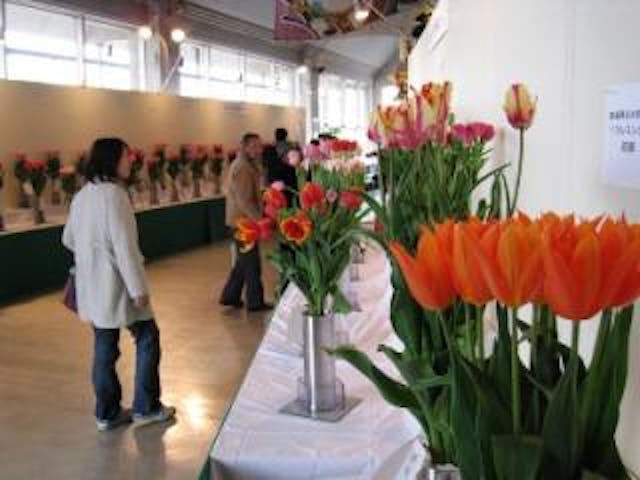 フラワーウェーブ新潟