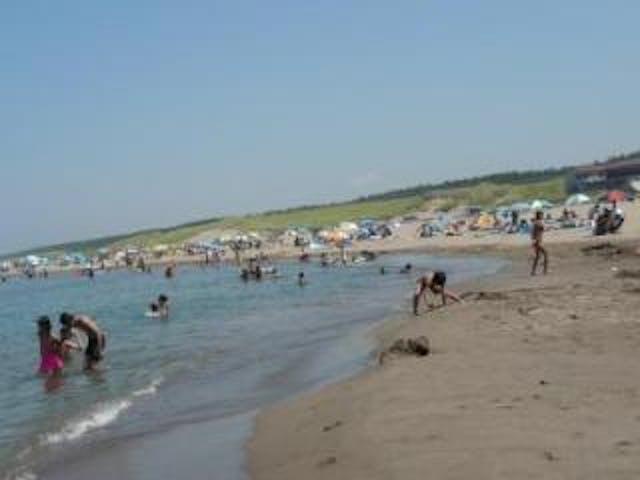 越前浜海水浴場