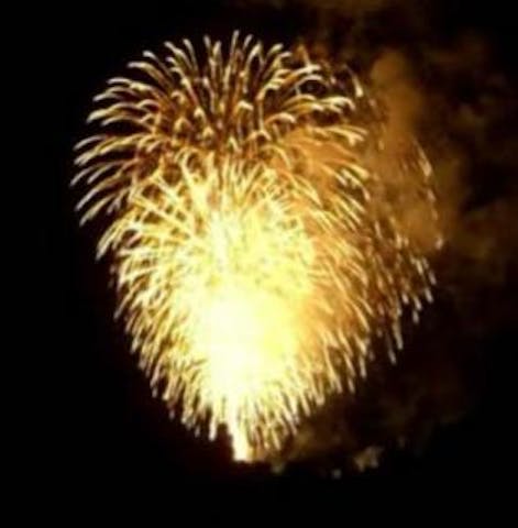 とちお祭大花火大会