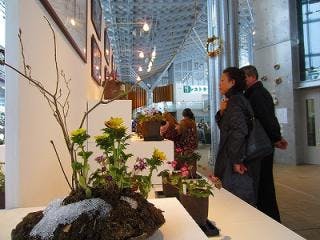 スポットの写真