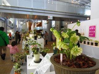 スポットの写真