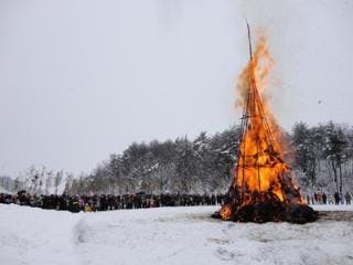 スポットの写真