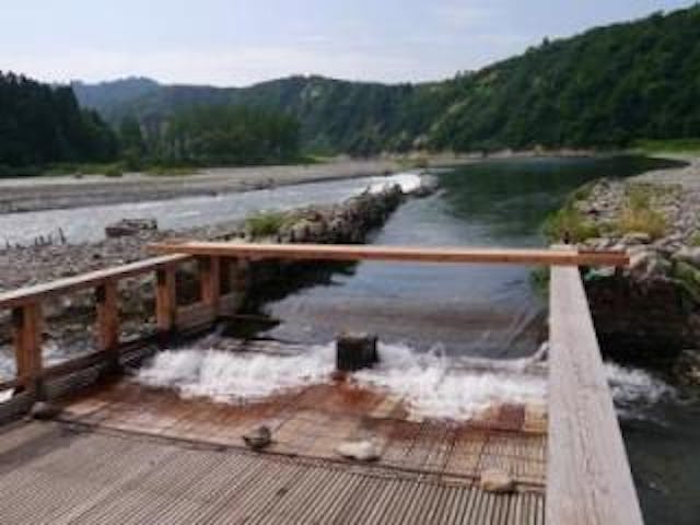 越後川口やな場　男山漁場