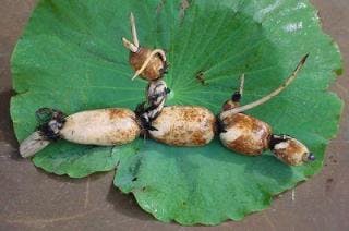 スポットの写真