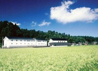 スポットの写真