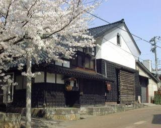 スポットの写真