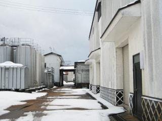 スポットの写真