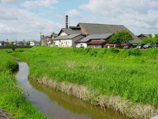 スポットの写真