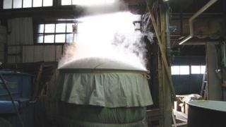 スポットの写真