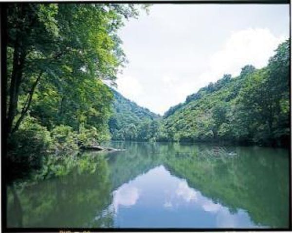 雨生ヶ池（まごいがいけ）