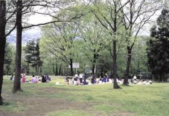 グリーンスポーツセンター【キャンプ場】