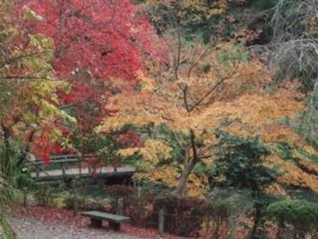 赤坂山公園 アソビュー