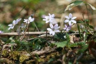 スポットの写真