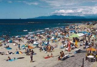 スポットの写真