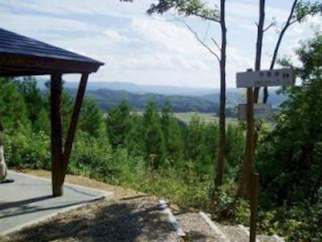 新潟県見附杉沢の森