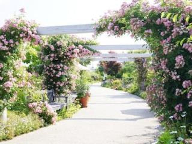 みつけイングリッシュガーデン