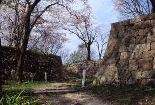 スポットの写真