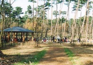 スポットの写真