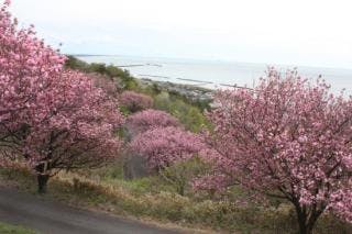 スポットの写真