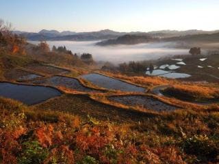 スポットの写真