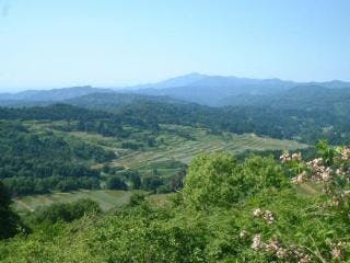 スポットの写真