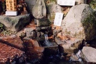 スポットの写真