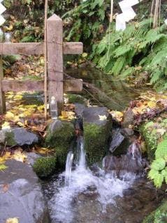 スポットの写真