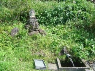 スポットの写真