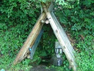 スポットの写真