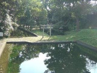 スポットの写真