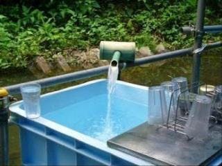 スポットの写真