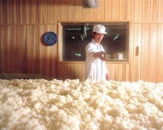 スポットの写真