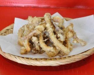 スポットの写真