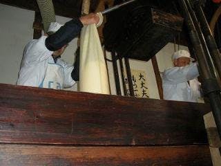 スポットの写真