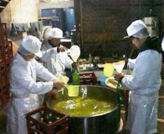 スポットの写真